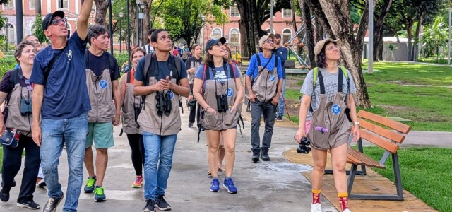 Vem Passarinhar Recife aterrissa em Dois Irmãos Projeto de observação […]